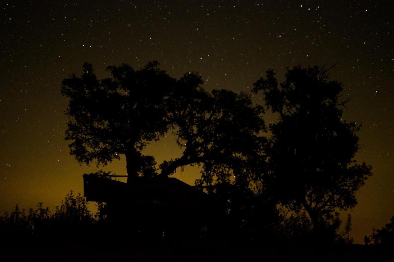 Herdade Do Rio Torto Portel Bagian luar foto