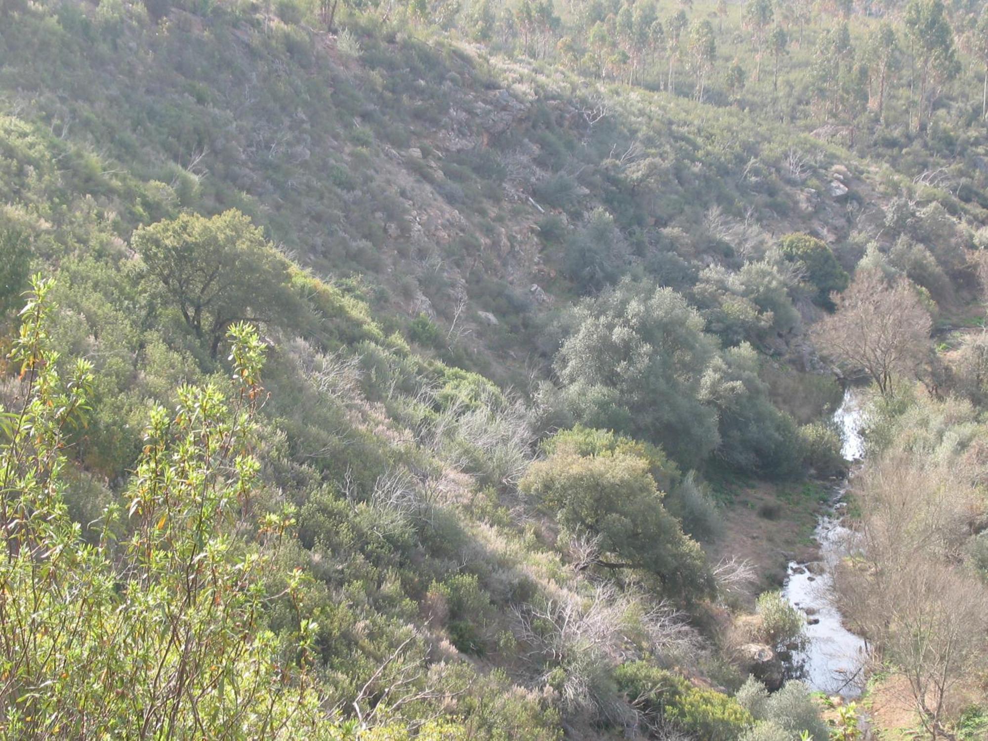 Herdade Do Rio Torto Portel Bagian luar foto