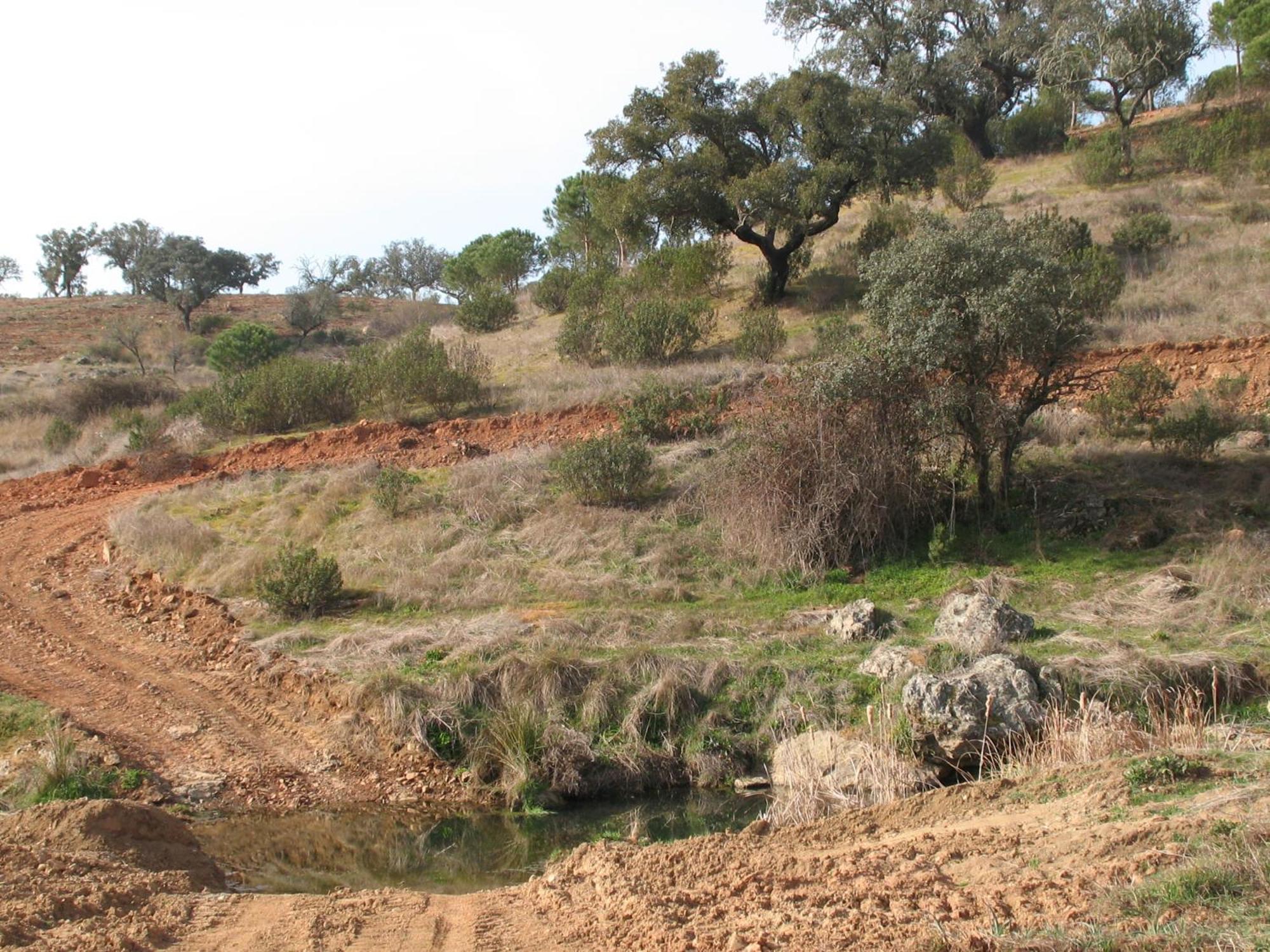 Herdade Do Rio Torto Portel Bagian luar foto