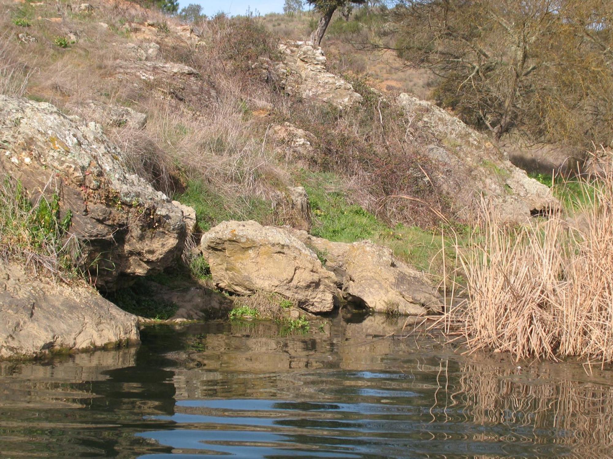Herdade Do Rio Torto Portel Bagian luar foto