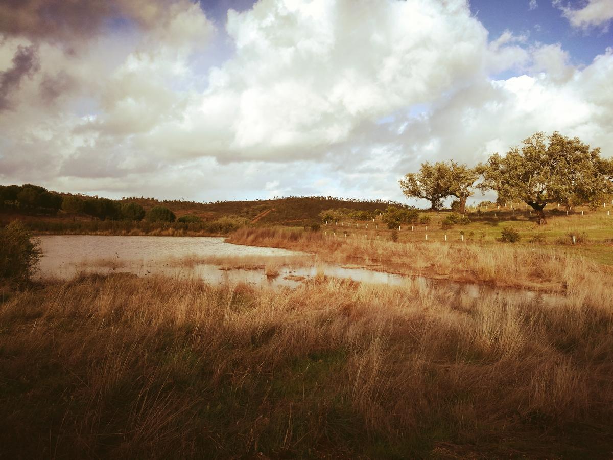 Herdade Do Rio Torto Portel Bagian luar foto