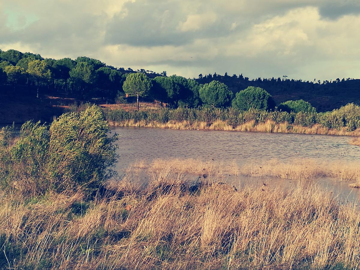 Herdade Do Rio Torto Portel Bagian luar foto
