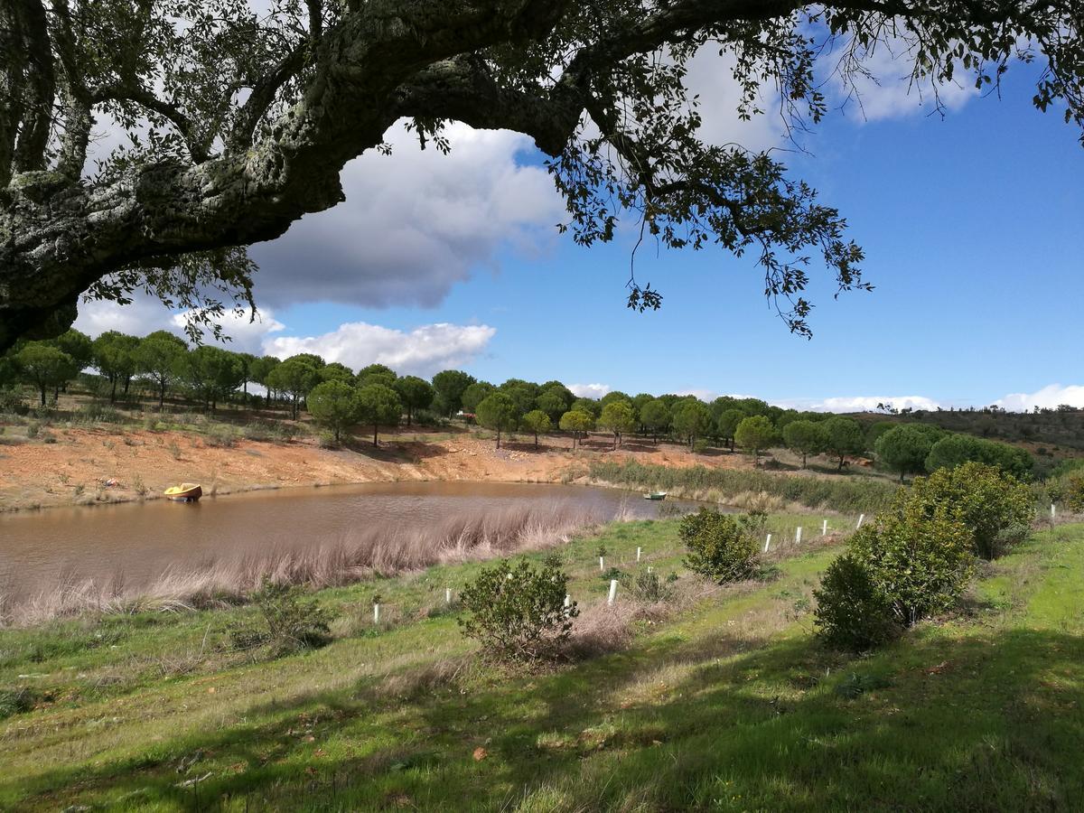 Herdade Do Rio Torto Portel Bagian luar foto